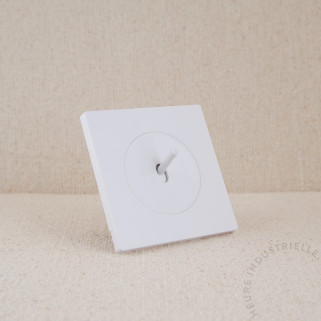 Interrupteur DOM simple à levier et enjoliveur sur plaque simple