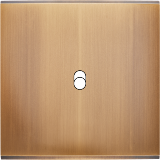 Façade Confidence Laiton Vieux Bronze Simple B1