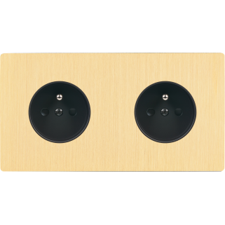 Façade M Laiton Brosse Double Horizontale 2 Prises magnétique