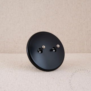 Interrupteur double IRIS noir satin levier acier