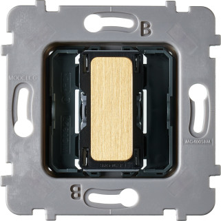 Mécanisme Plat Bouton Vv Ou Poussoir Collection M Laiton Brosse