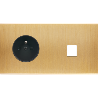 Façade Confidence Laiton Brosse Double Horizontale PC M1