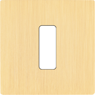 Façade M Laiton Brosse Simple 1 Bouton magnétique