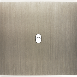 Façade Confidence Laiton Acier Simple 1 trou oblong