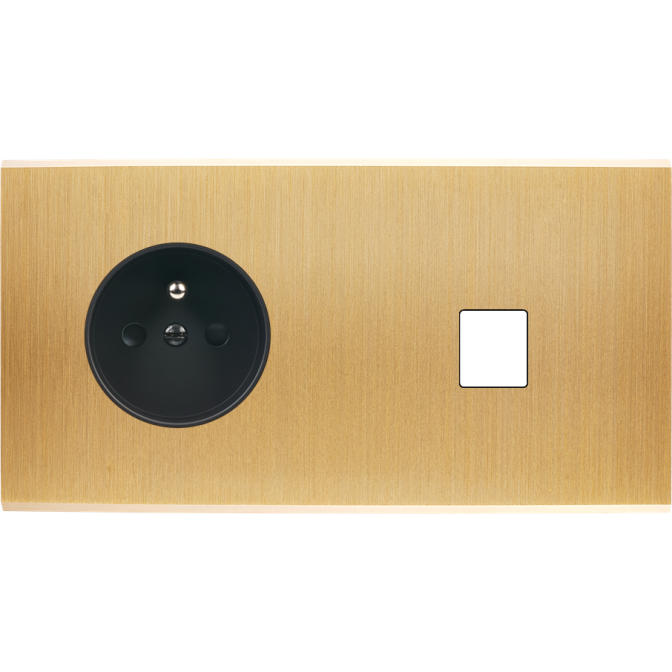 Façade Confidence Laiton Brosse Double Horizontale PC M1