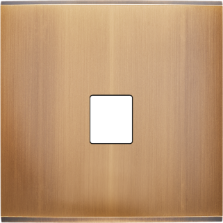 Façade Confidence Laiton Vieux Bronze Simple M1