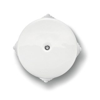Boîtier dérivation porcelaine blanche