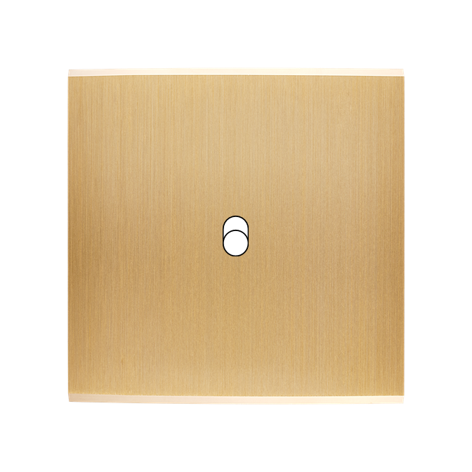 Façade Confidence Laiton Brosse Simple B1