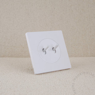 Interrupteur DOM double à levier et enjoliveur sur plaque simple
