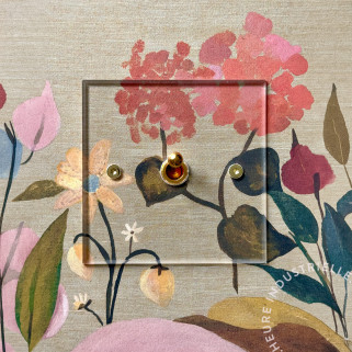 Interrupteur Meljac Plexiglass