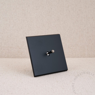 Commande Duo simple Modelec Confidence noir levier laiton